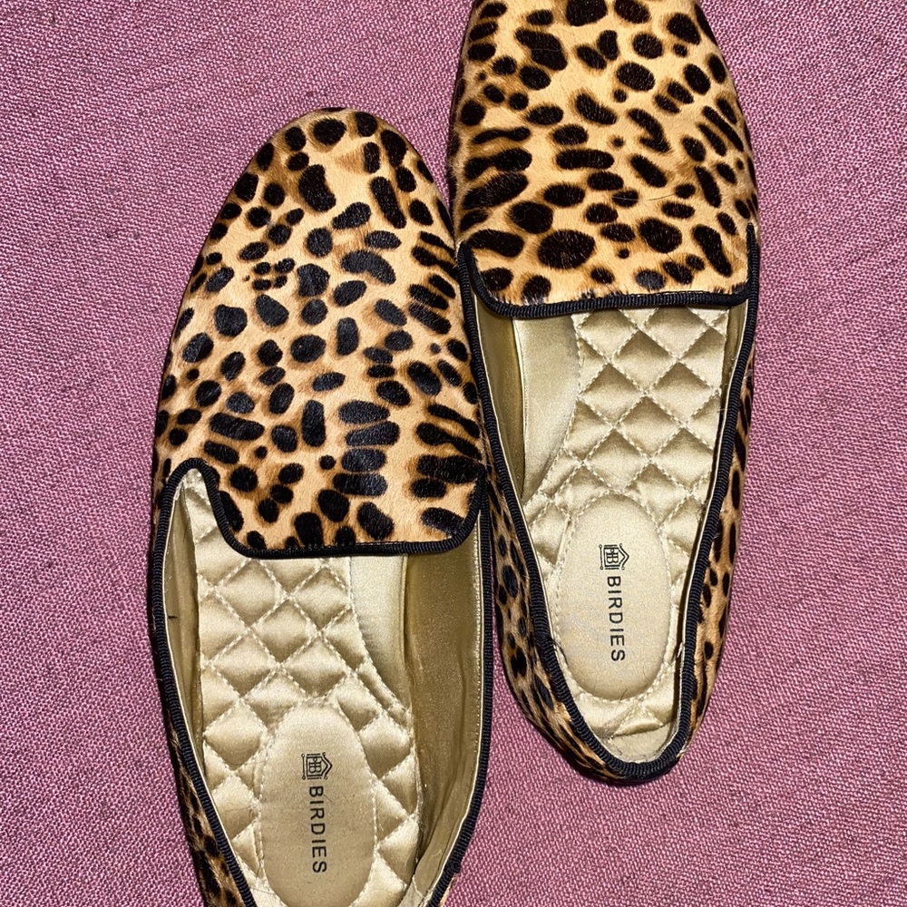 Birdies ☁️ the Starling flat